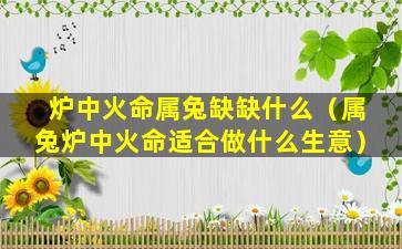 炉中火命属兔缺缺什么（属兔炉中火命适合做什么生意）