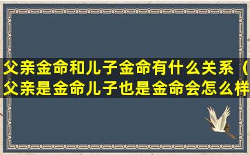 父亲金命和儿子金命有什么关系（父亲是金命儿子也是金命会怎么样）