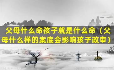 父母什么命孩子就是什么命（父母什么样的案底会影响孩子政审）