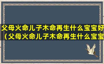 父母火命儿子木命再生什么宝宝好（父母火命儿子木命再生什么宝宝好一点）