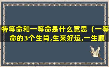 特等命和一等命是什么意思（一等命的3个生肖,生来好运,一生顺利）