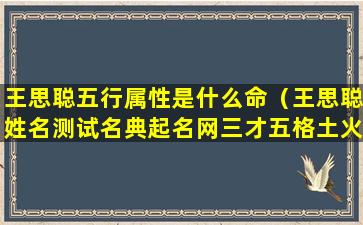 王思聪五行属性是什么命（王思聪姓名测试名典起名网三才五格土火木水金打分）