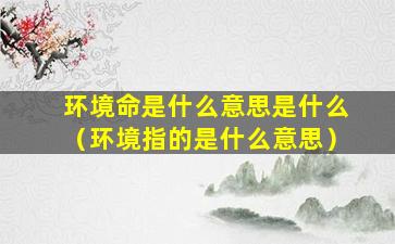 环境命是什么意思是什么（环境指的是什么意思）