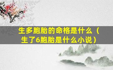 生多胞胎的命格是什么（生了6胞胎是什么小说）