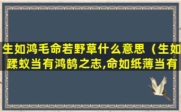 生如鸿毛命若野草什么意思（生如蹂蚁当有鸿鹄之志,命如纸薄当有不屈之心）