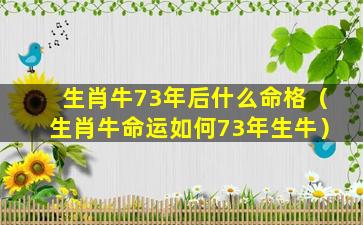 生肖牛73年后什么命格（生肖牛命运如何73年生牛）