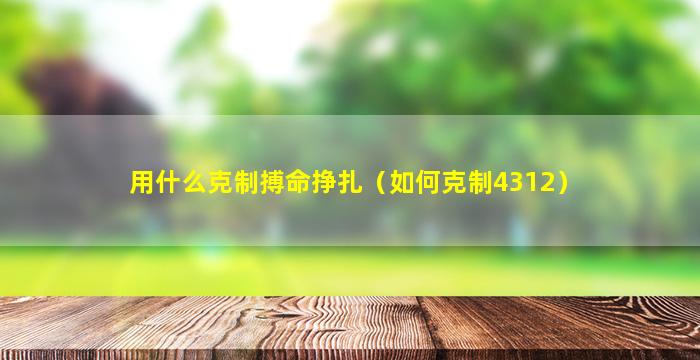 用什么克制搏命挣扎（如何克制4312）