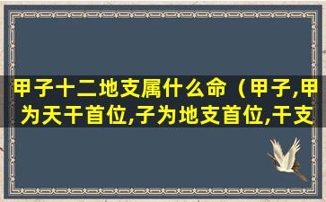 甲子十二地支属什么命（甲子,甲为天干首位,子为地支首位,干支相配以纪年月日）