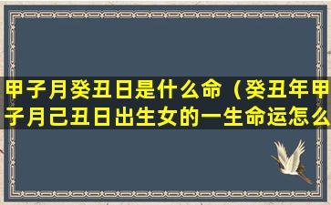 甲子月癸丑日是什么命（癸丑年甲子月己丑日出生女的一生命运怎么样）