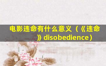 电影违命有什么意义（《违命》disobedience）