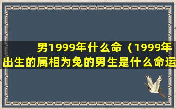 男1999年什么命（1999年出生的属相为兔的男生是什么命运）