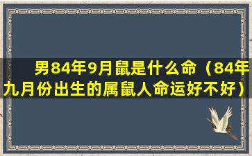 男84年9月鼠是什么命（84年九月份出生的属鼠人命运好不好）