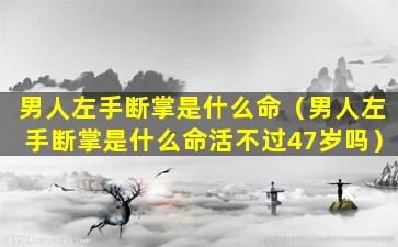 男人左手断掌是什么命（男人左手断掌是什么命活不过47岁吗）