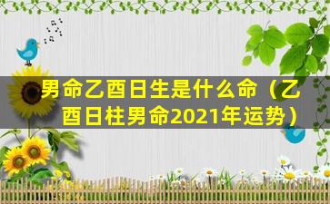 男命乙酉日生是什么命（乙酉日柱男命2021年运势）