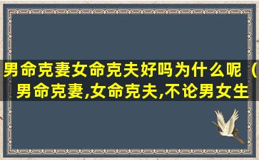 男命克妻女命克夫好吗为什么呢（男命克妻,女命克夫,不论男女生于丙午,容易受伤,或致残）