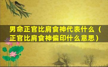 男命正官比肩食神代表什么（正官比肩食神偏印什么意思）