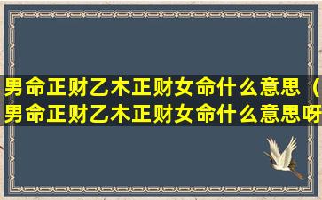 男命正财乙木正财女命什么意思（男命正财乙木正财女命什么意思呀）