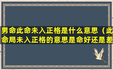 男命此命未入正格是什么意思（此命局未入正格的意思是命好还是差）