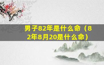 男子82年是什么命（82年8月20是什么命）