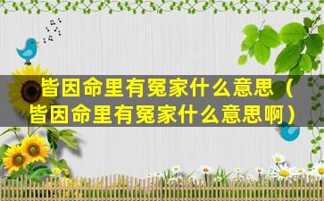 皆因命里有冤家什么意思（皆因命里有冤家什么意思啊）