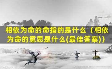 相依为命的命指的是什么（相依为命的意思是什么(最佳答案)）