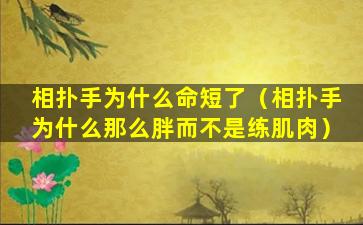 相扑手为什么命短了（相扑手为什么那么胖而不是练肌肉）