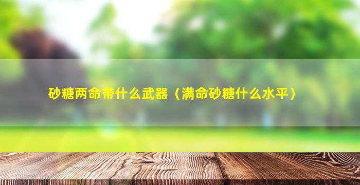 砂糖两命带什么武器（满命砂糖什么水平）