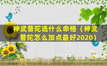 神武普陀选什么命格（神武普陀怎么加点最好2020）