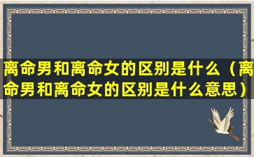 离命男和离命女的区别是什么（离命男和离命女的区别是什么意思）