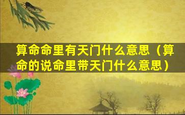 算命命里有天门什么意思（算命的说命里带天门什么意思）