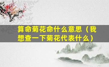 算命菊花命什么意思（我想查一下菊花代表什么）