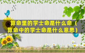 算命里的学士命是什么命（算命中的学士命是什么意思）