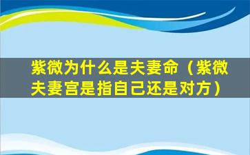 紫微为什么是夫妻命（紫微夫妻宫是指自己还是对方）