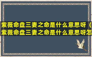 紫薇命盘三妻之命是什么意思呀（紫薇命盘三妻之命是什么意思呀怎么解释）