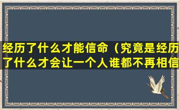 经历了什么才能信命（究竟是经历了什么才会让一个人谁都不再相信）