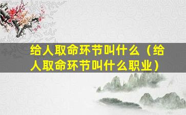 给人取命环节叫什么（给人取命环节叫什么职业）