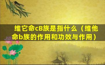 维它命cB族是指什么（维他命b族的作用和功效与作用）