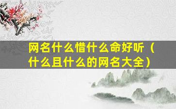 网名什么惜什么命好听（什么且什么的网名大全）