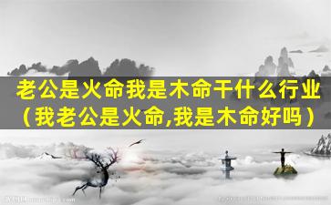 老公是火命我是木命干什么行业（我老公是火命,我是木命好吗）