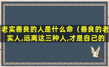 老实善良的人是什么命（善良的老实人,远离这三种人,才是自己的福气）