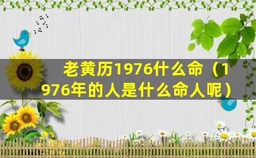 老黄历1976什么命（1976年的人是什么命人呢）