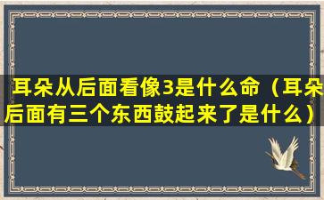 耳朵从后面看像3是什么命（耳朵后面有三个东西鼓起来了是什么）