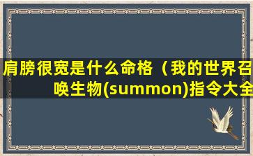 肩膀很宽是什么命格（我的世界召唤生物(summon)指令大全）