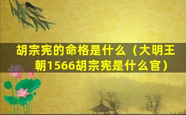 胡宗宪的命格是什么（大明王朝1566胡宗宪是什么官）