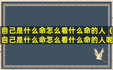 自己是什么命怎么看什么命的人（自己是什么命怎么看什么命的人呢）