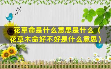 花草命是什么意思是什么（花草木命好不好是什么意思）