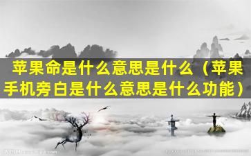 苹果命是什么意思是什么（苹果手机旁白是什么意思是什么功能）