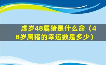 虚岁48属猪是什么命（48岁属猪的幸运数是多少）