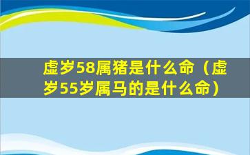 虚岁58属猪是什么命（虚岁55岁属马的是什么命）