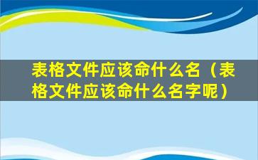 表格文件应该命什么名（表格文件应该命什么名字呢）